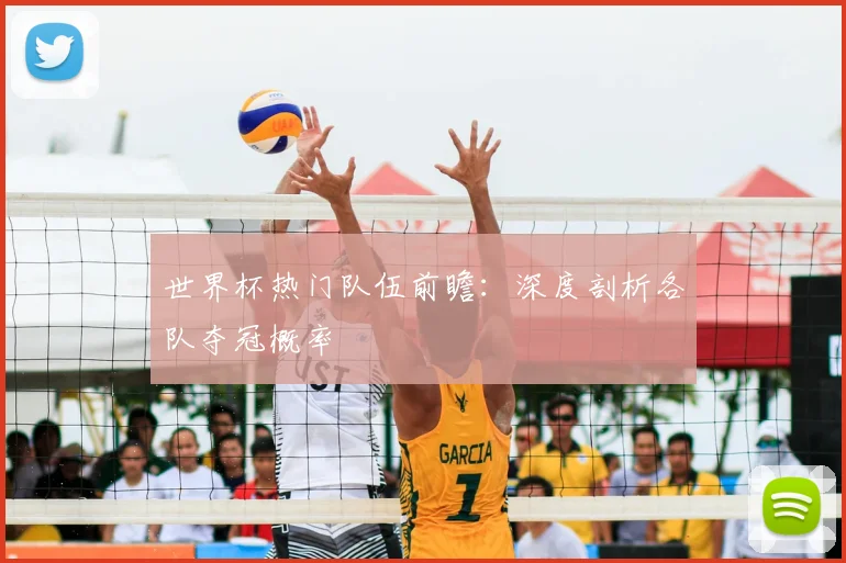世界杯热门队伍前瞻：深度剖析各队夺冠概率