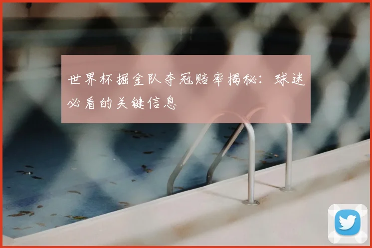 世界杯掘金队夺冠赔率揭秘：球迷必看的关键信息